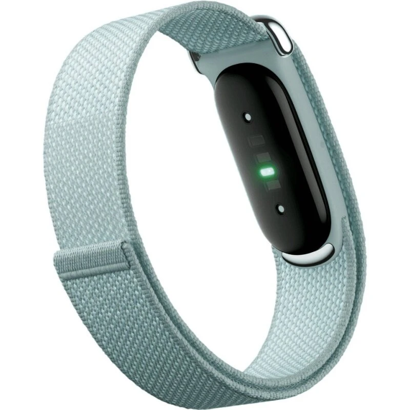 Фитнес-браслет Google Fitbit Air Серый (Fog)