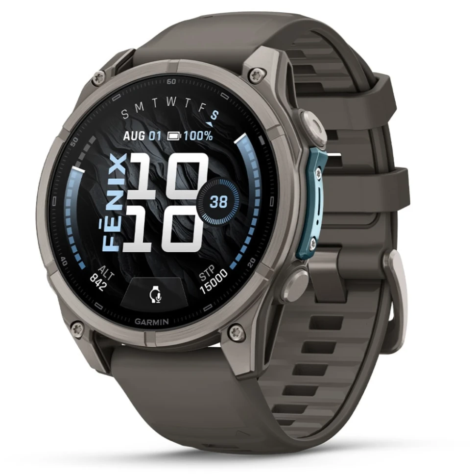 Умные часы Garmin Fenix 9 47mm Titanium with Pebble Grey Silicone Band (010-04762-01)